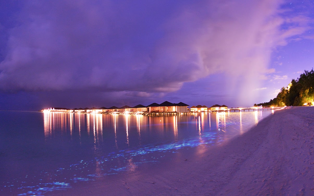 The Maldives Sea of Stars