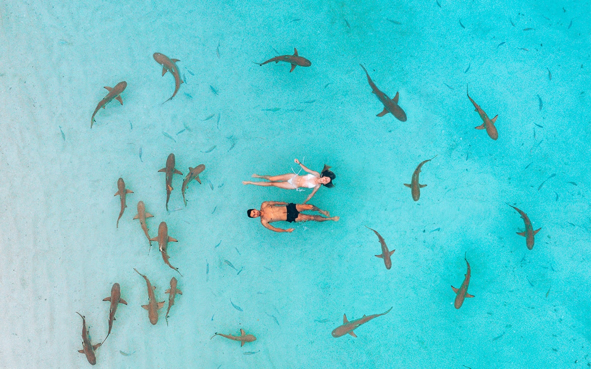 A Couple Swimming With Sharks