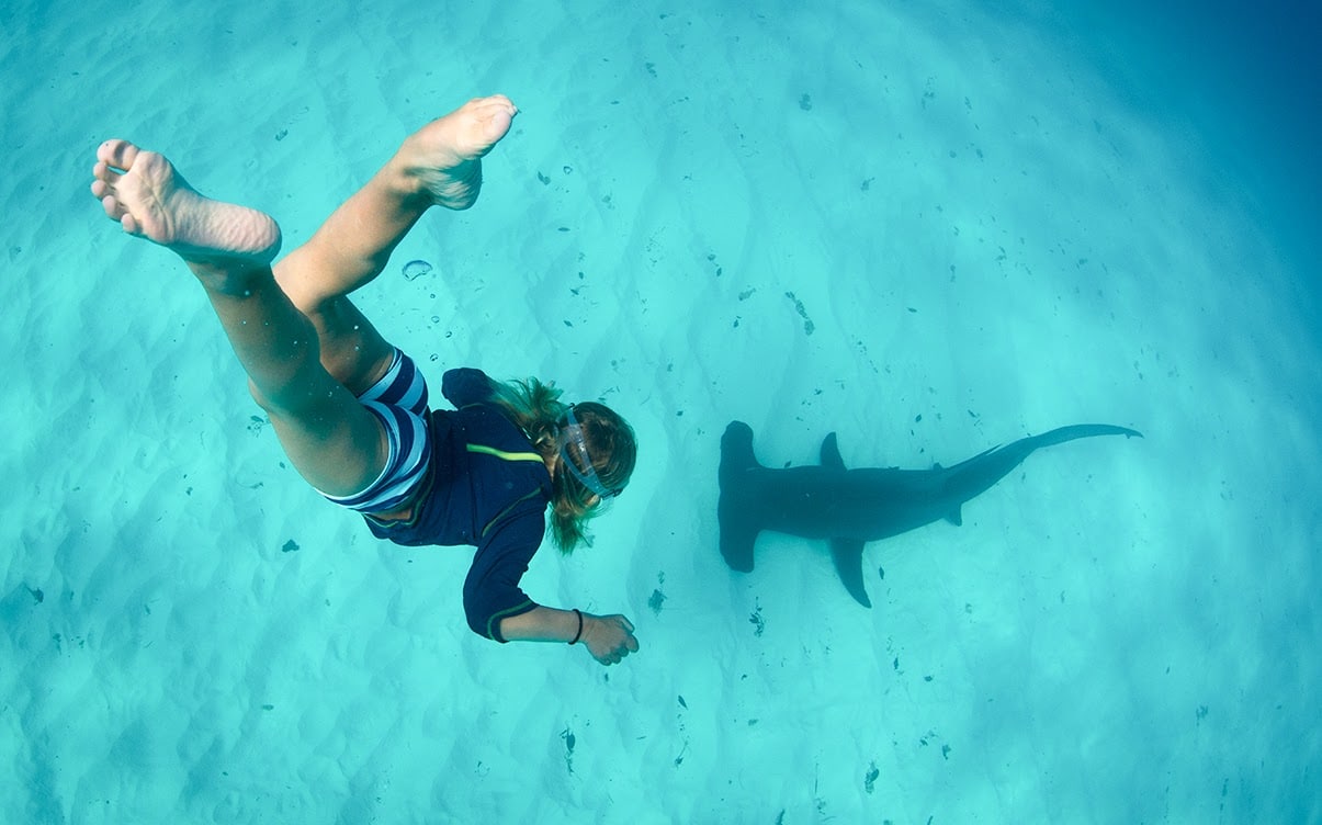 A Person Swimming With a Hammerhead Shark