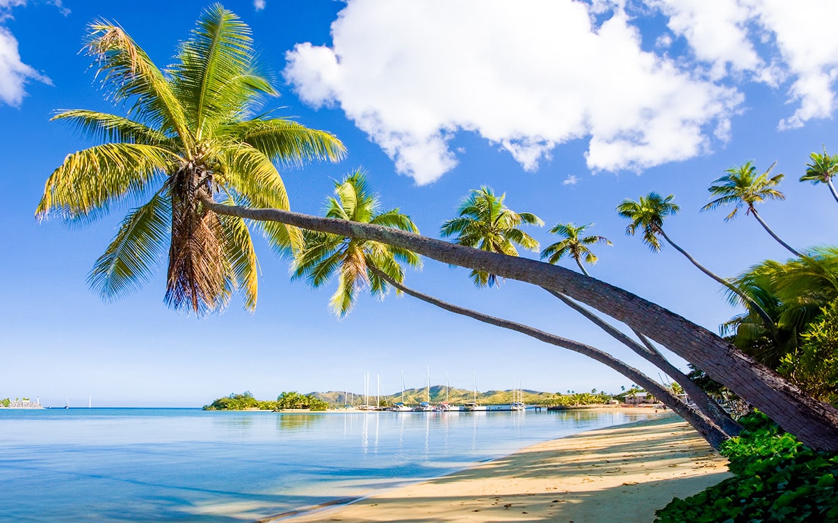 A Tropical Beach in Fiji