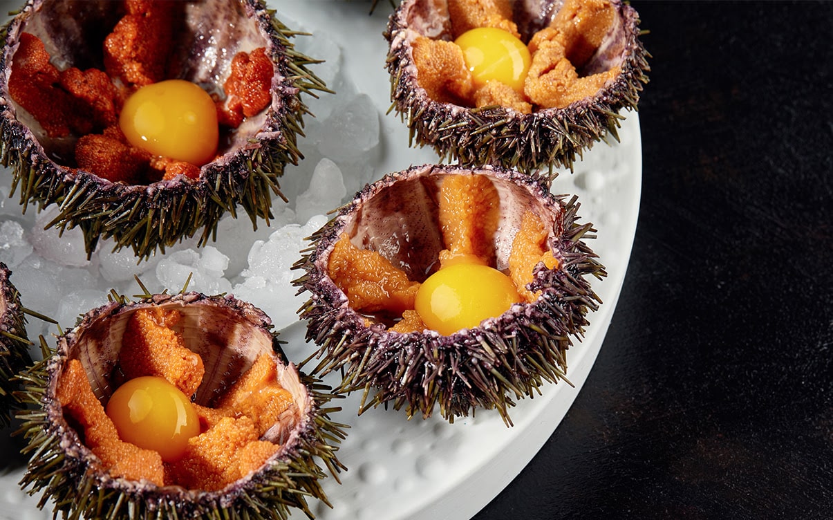 A Sea Urchin Dish