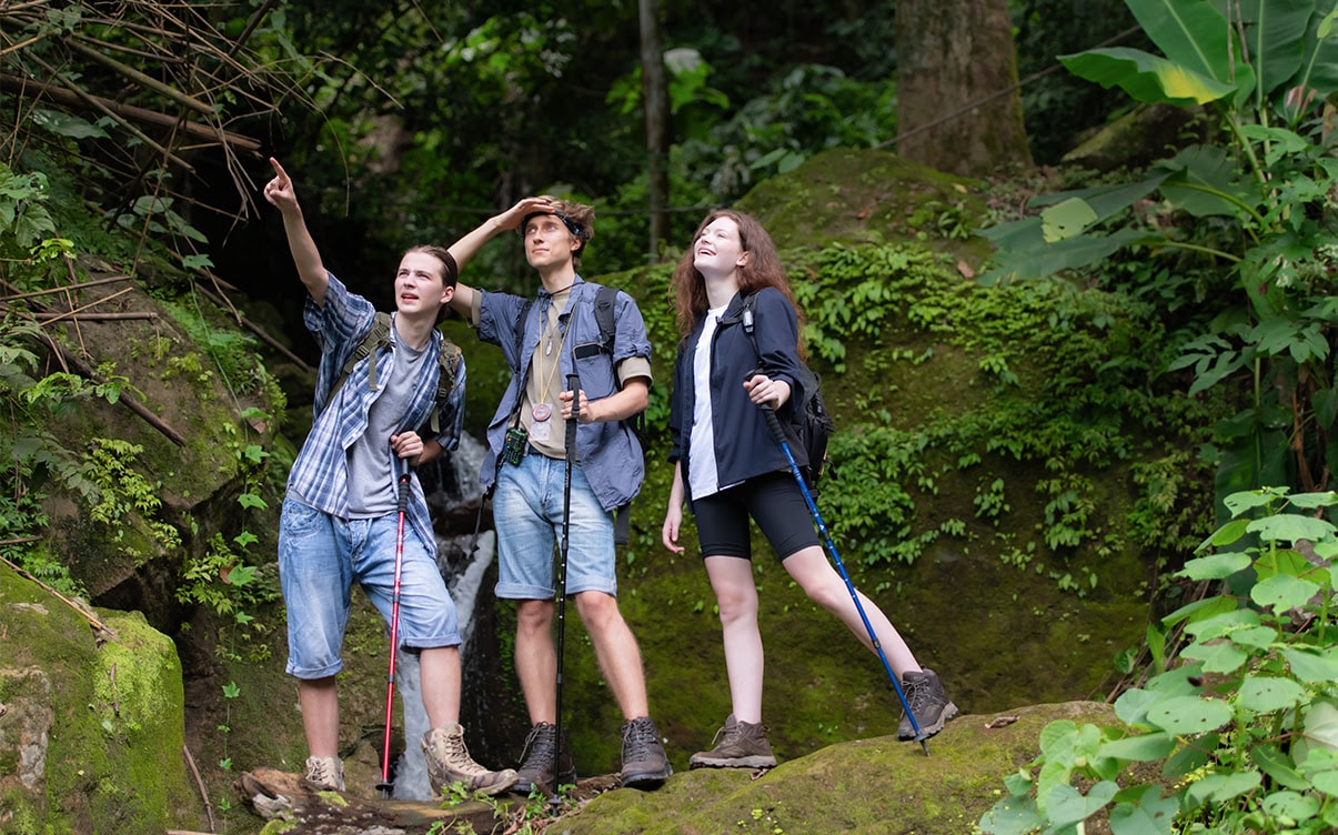 People Hiking in a Forest