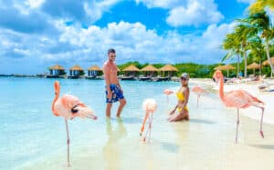 A Couple on the Flamingo Beach in Aruba