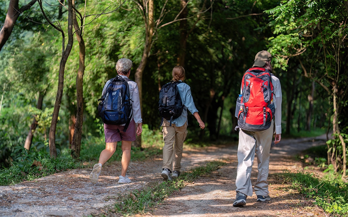 A Group of People Hiking