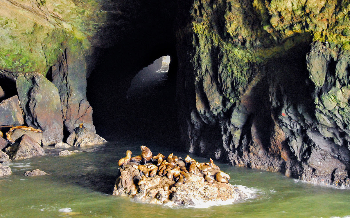 The Sea Lion Caves in Oregon