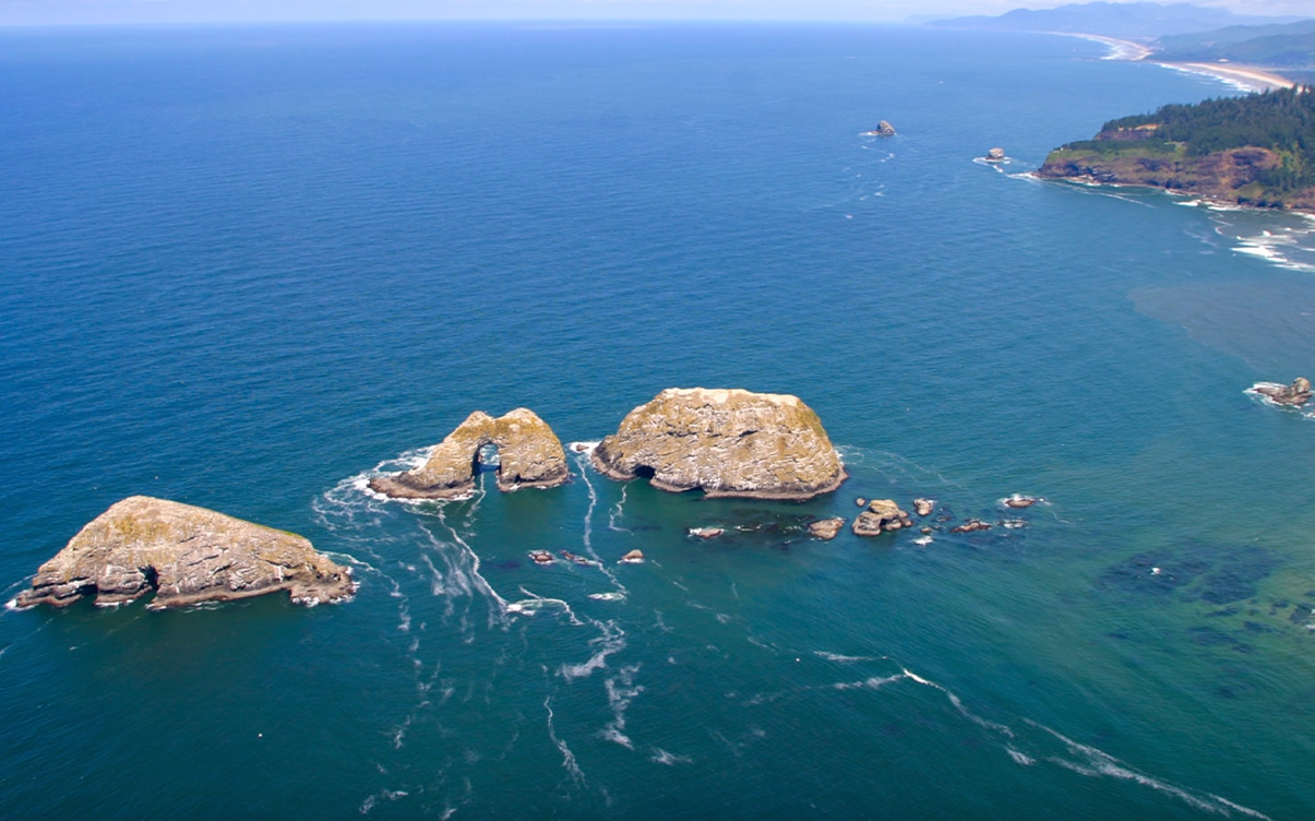 The Three Arch Rocks National Wildlife Refuge in Oregon