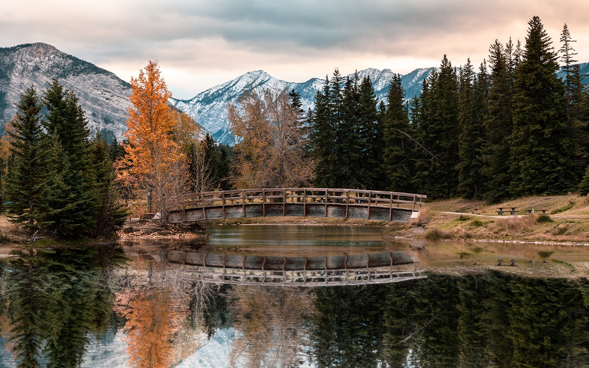 A Bridge in Banff National Park