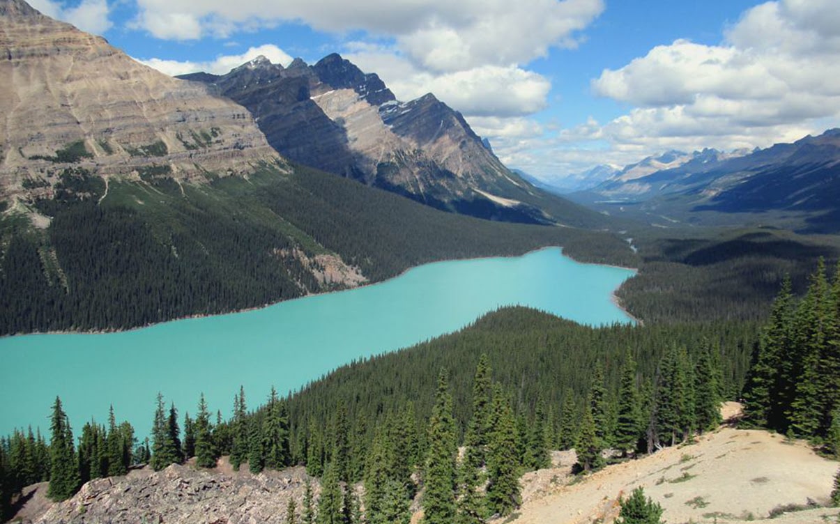 Bow Summit Lookout in Banff National Park