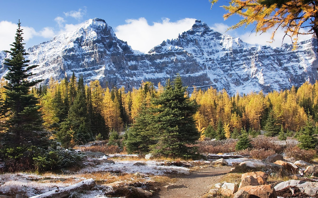 The Canadian Rockies in the Fall