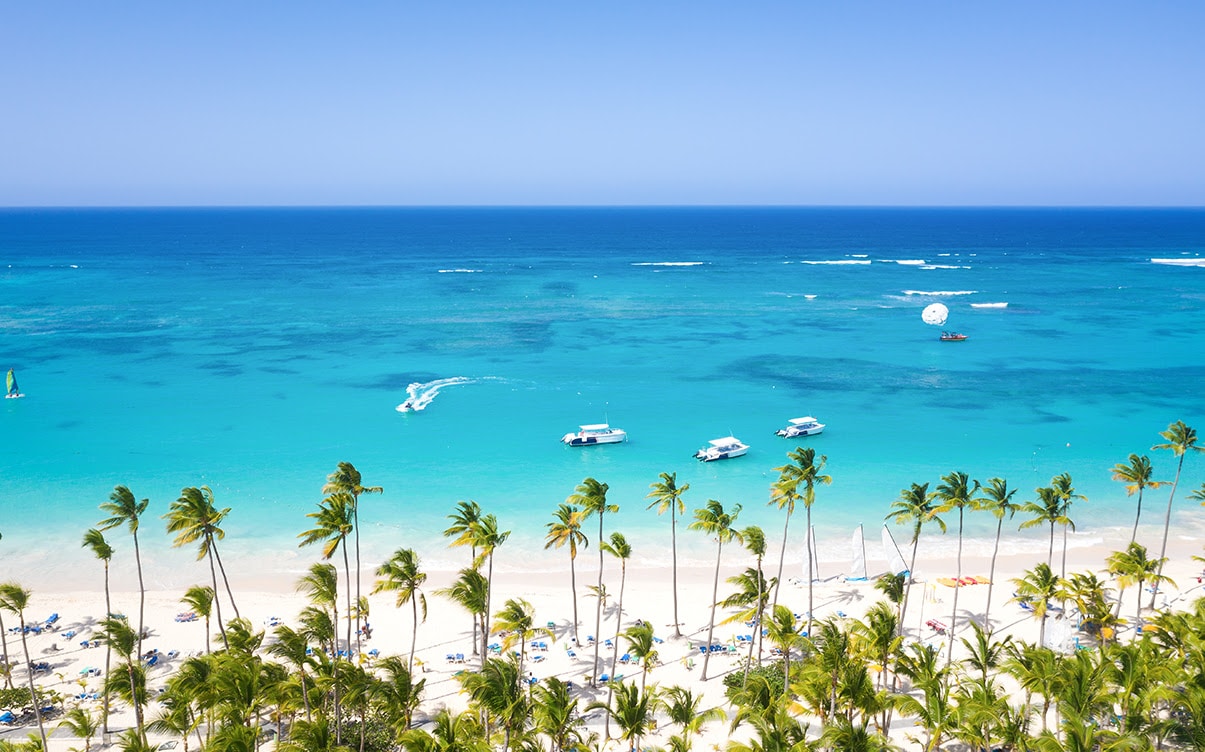 A Tropical Beach