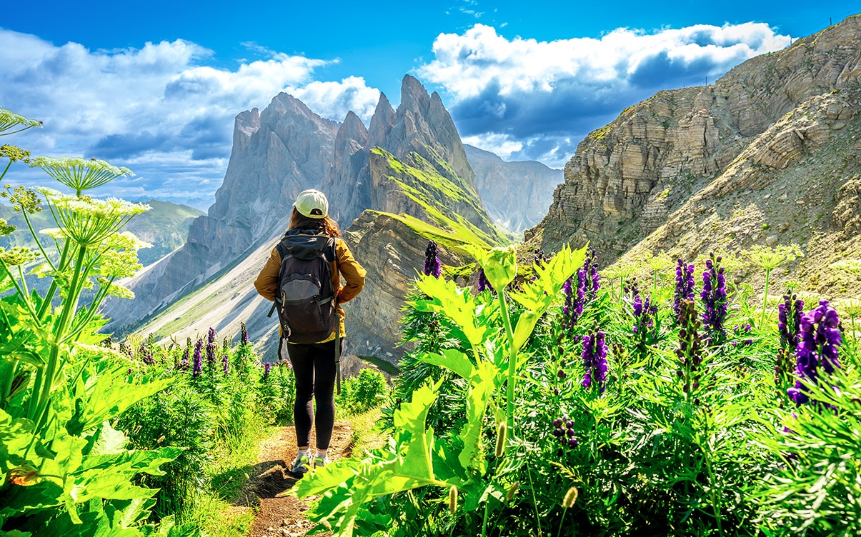 A Hiker Surrounded by Flowers in the Dolomites