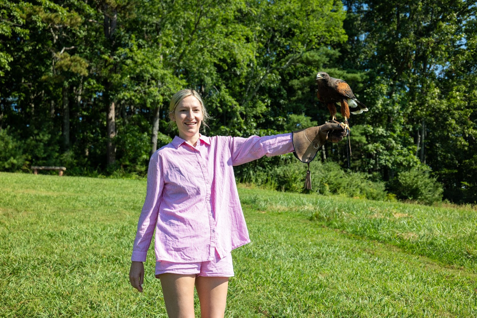 The Falconry at Biltmore Estate