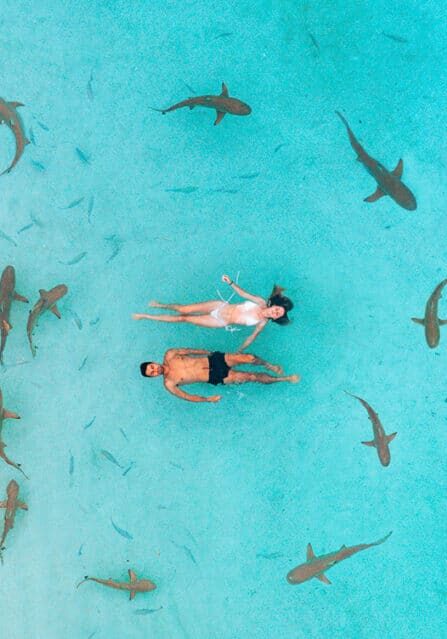 A Couple Swimming With Sharks