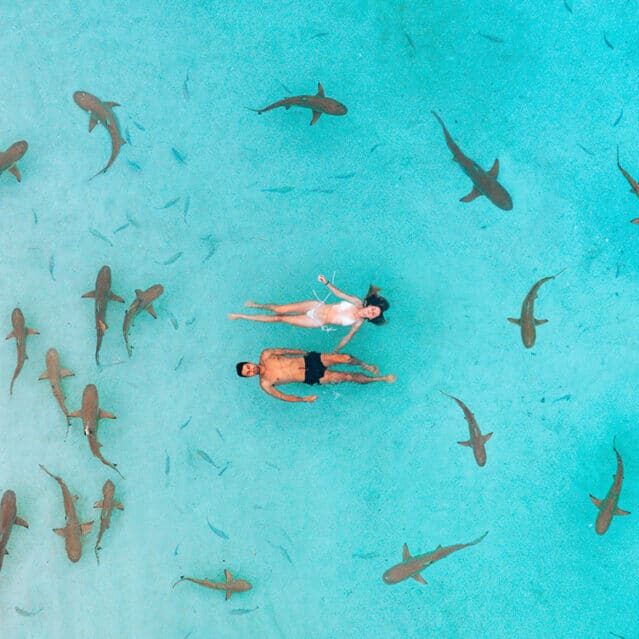 A Couple Swimming With Sharks