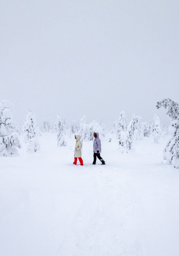 One of the best things to do in Rovaniemi in the Winter - National park