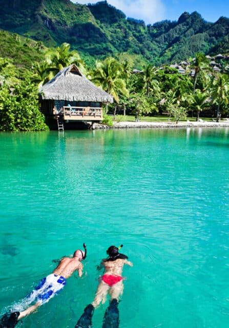 Snorkeling in Tahiti